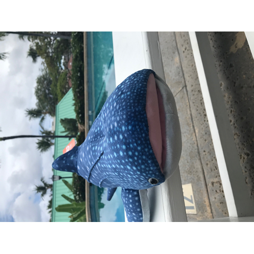 Whale Shark Plushie - 26